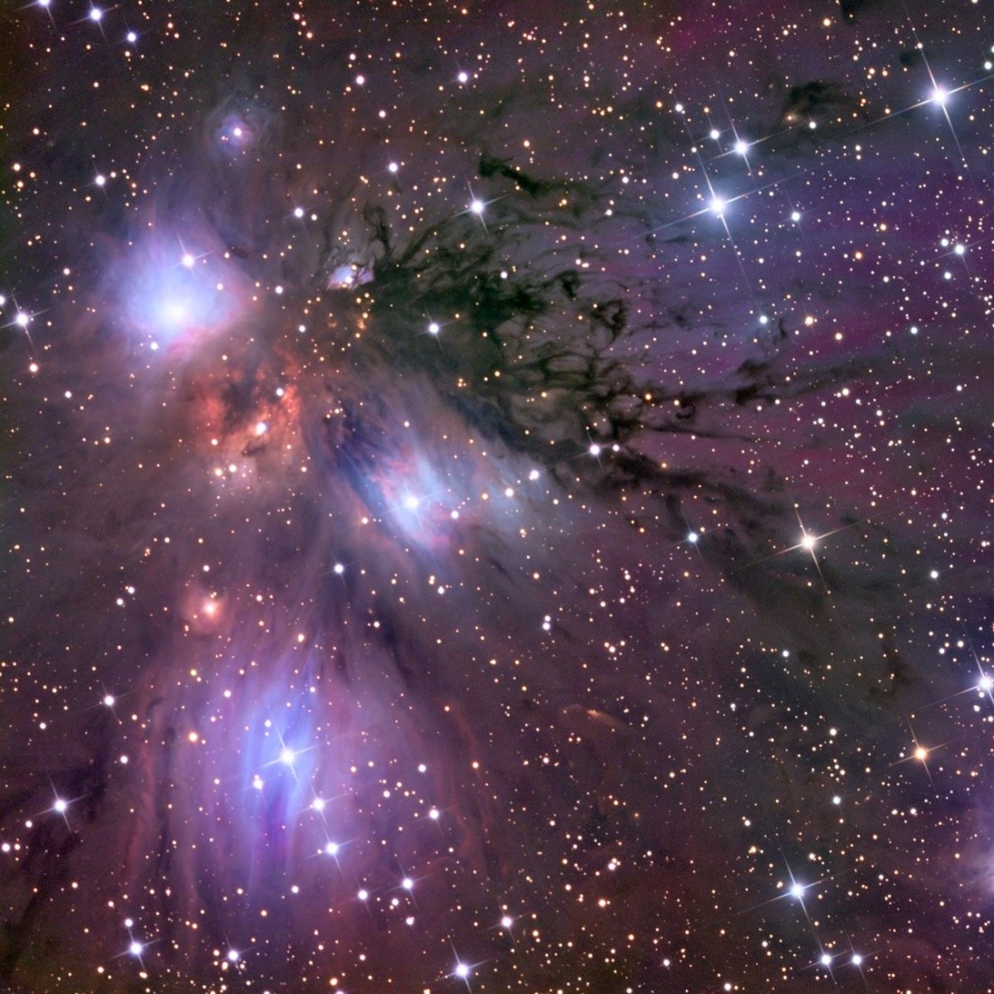 Карина и Леша