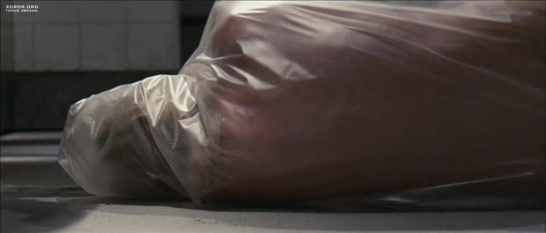 Кейт Наута 2005