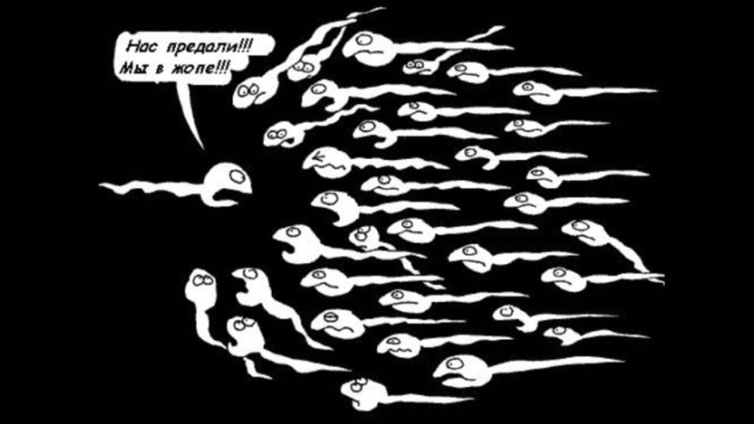 Мамин пирожочек Мем