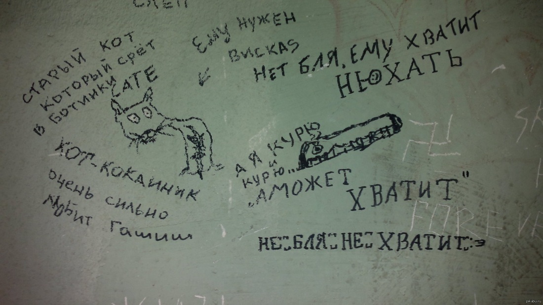 6 Кадров Ирина Медведева в Нижнем