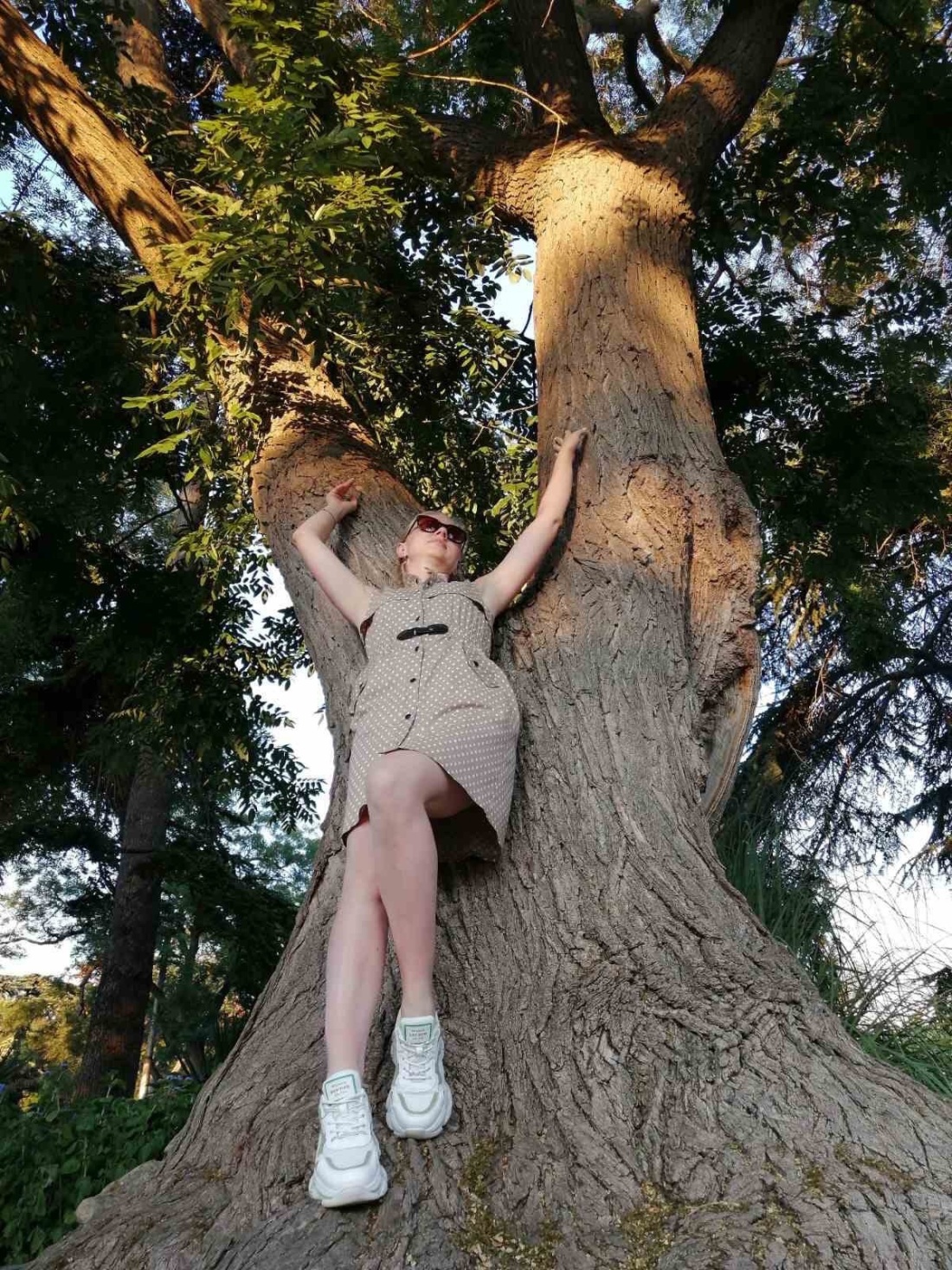 Сливы девушек частное