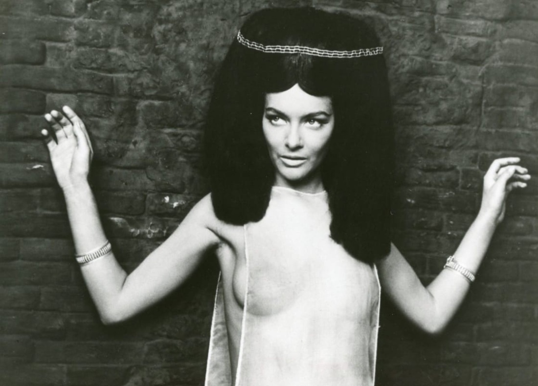 Барбара Брыльска в молодости ню