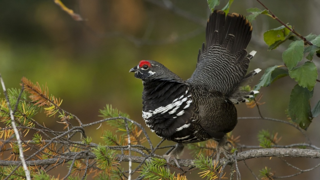 Питер Пауль Рубенс отцелюбие