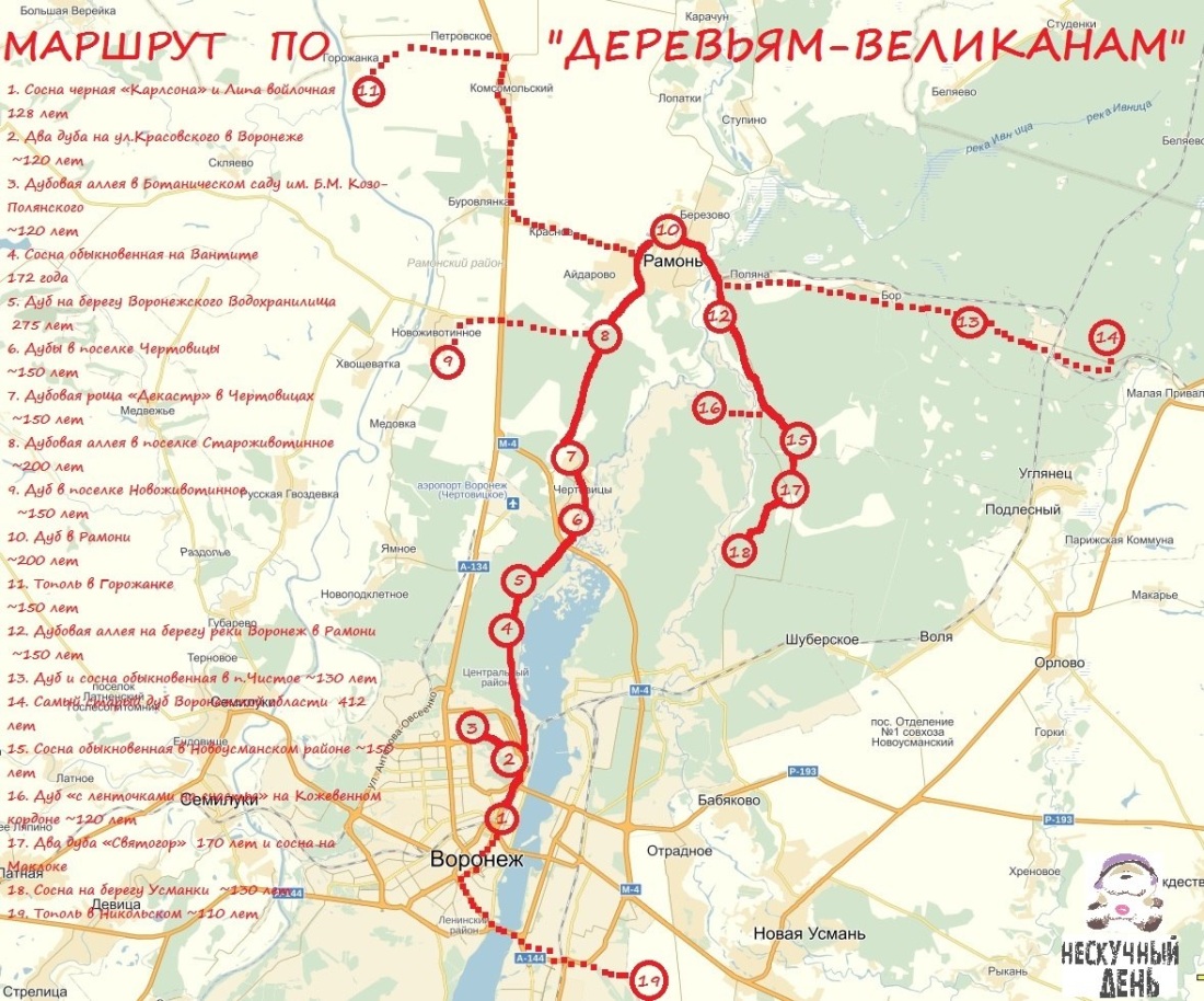 Большая Воронежская экологическая тропа маршрут