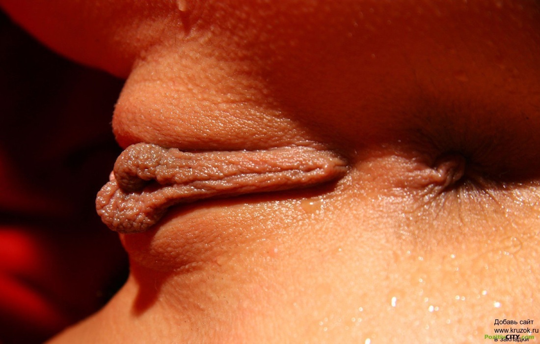 Женские прелести крупным планом