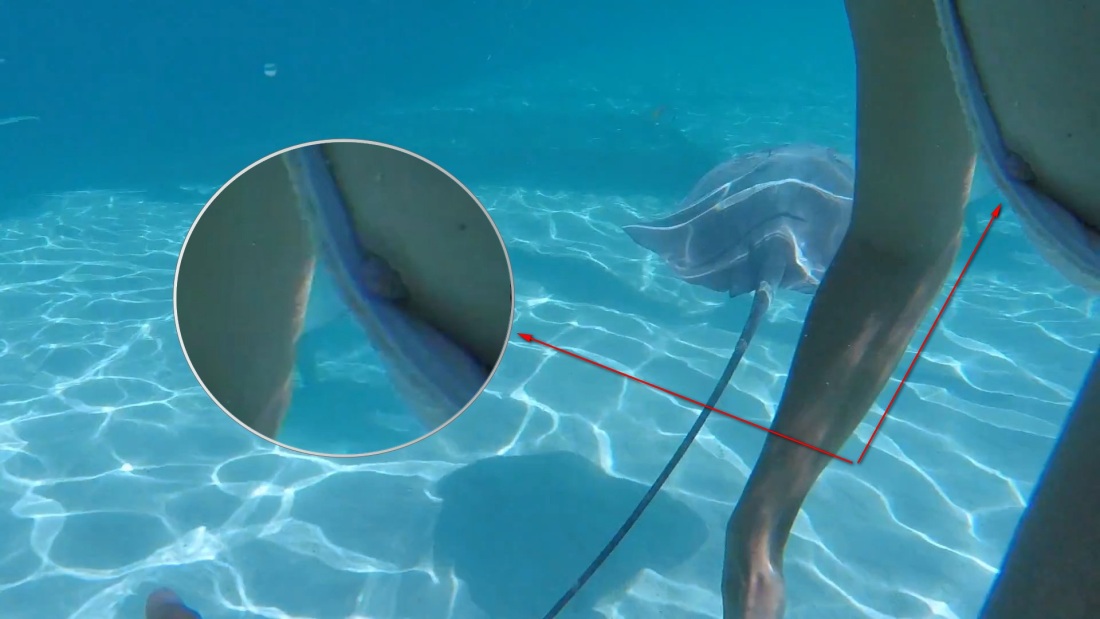 Регина Тодоренко Максим 2016