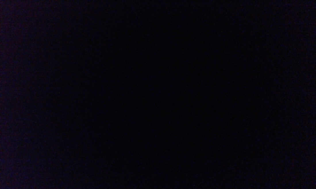 Екатерина Денисова