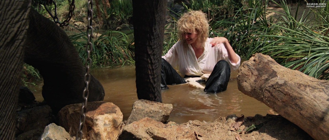 Рошелль Суонсон горячие sex