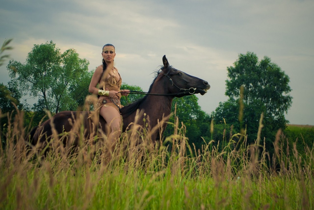 По полю с конем