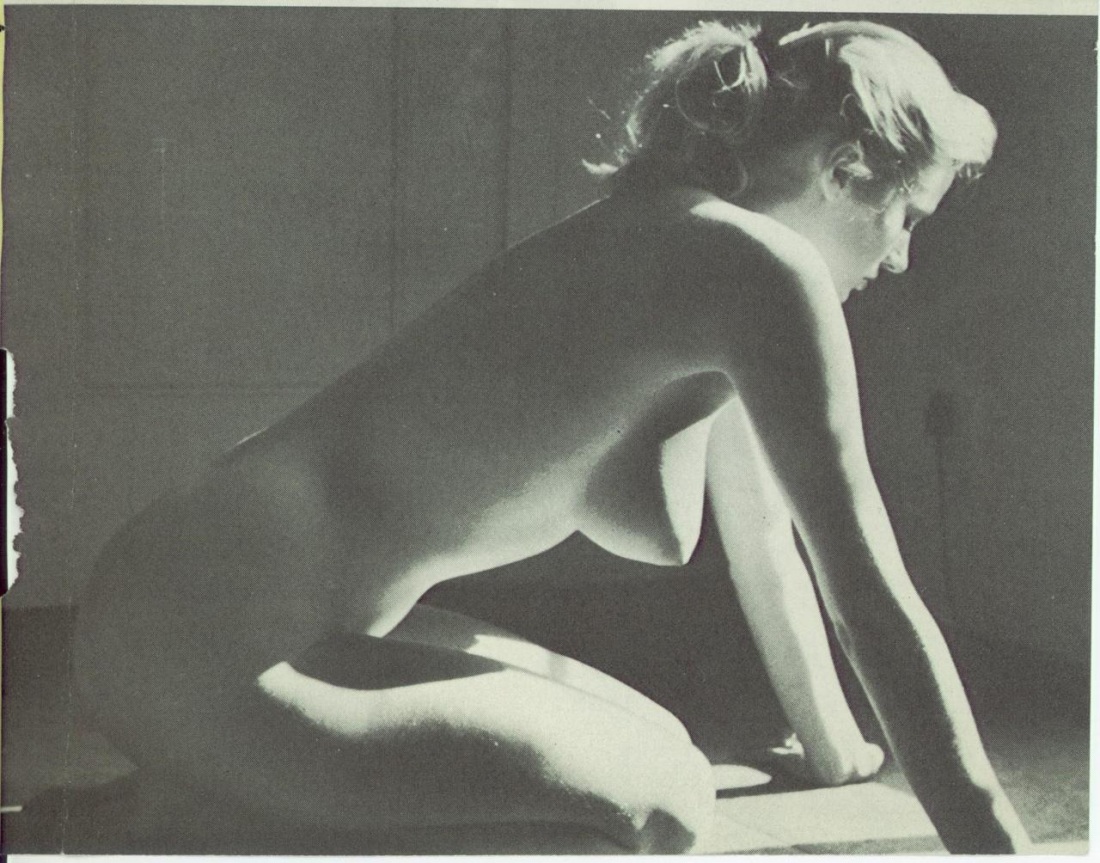 Порно-актриса Анита Экберг