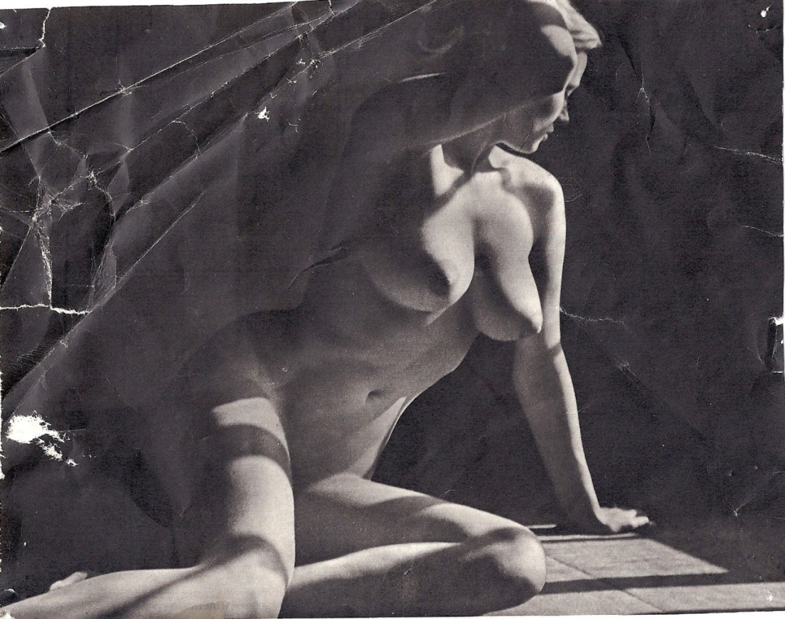 Порно-актриса Анита Экберг