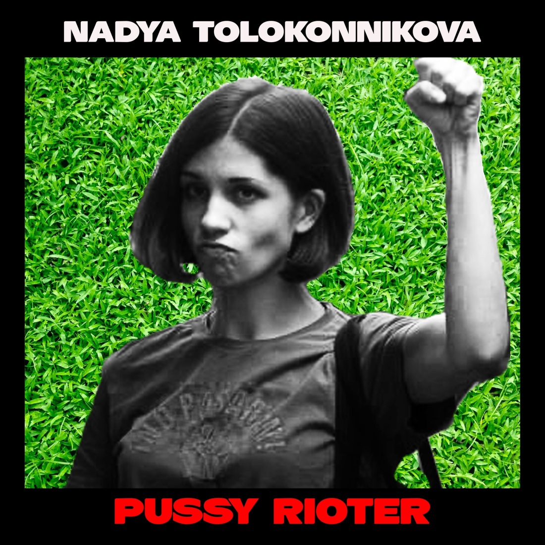 Надежда Толоконникова Чайка