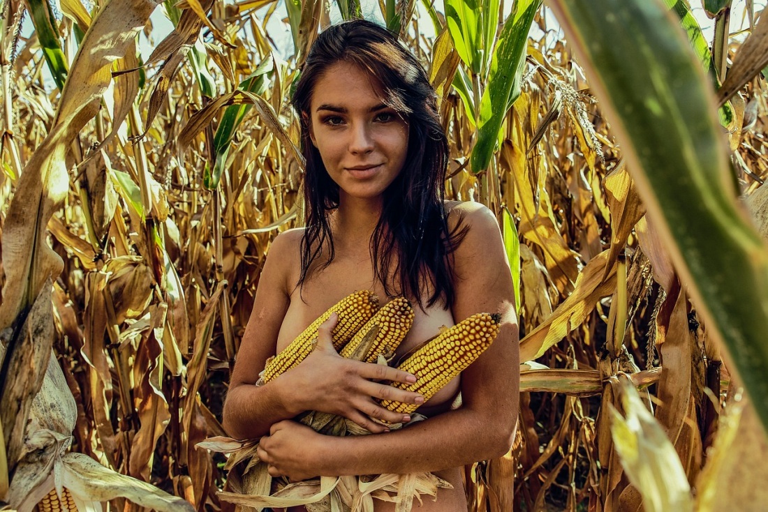 Фотосессия в кукурузном поле