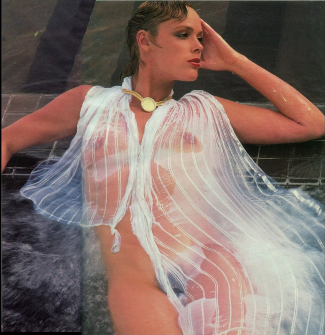 Бриджит Нильсен плейбой