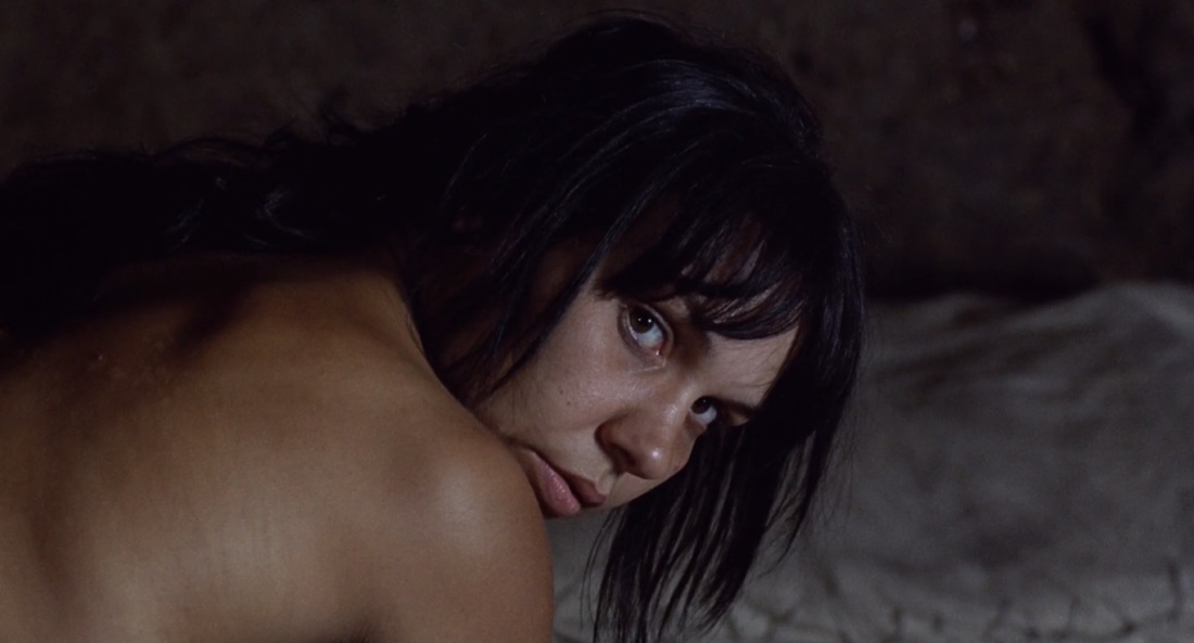 FRZ.Temp холодильник