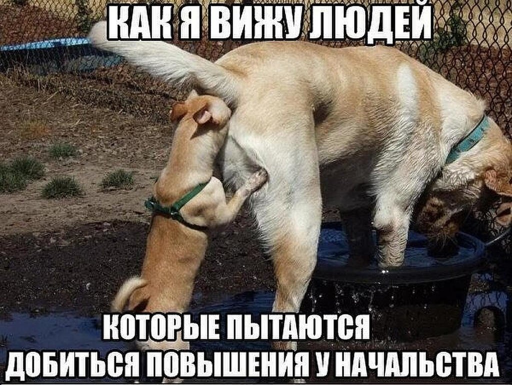 Девушка танкистка