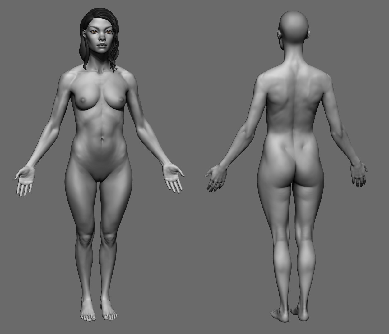 Female anatomy nudes