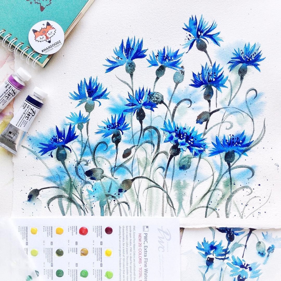 Рамки с васильками и ромашками