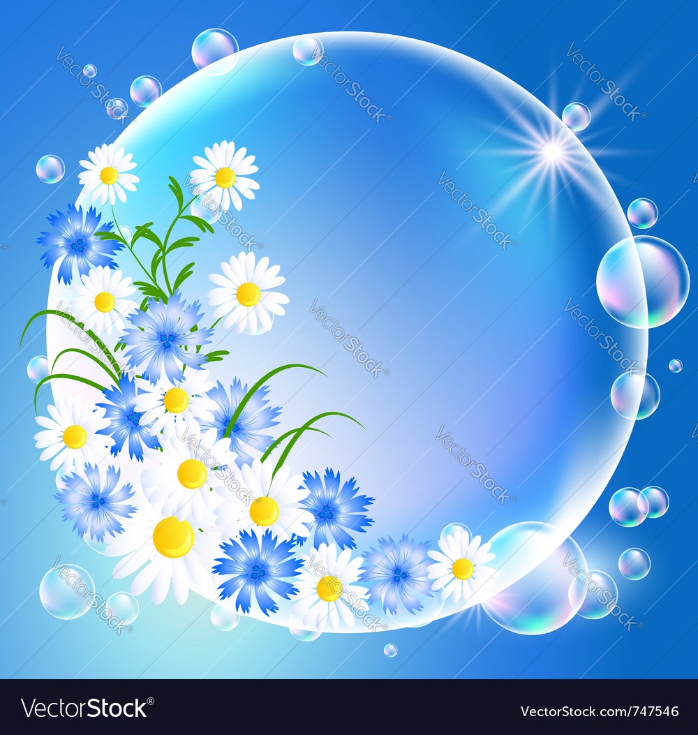 Рамка Василек на прозрачном фоне