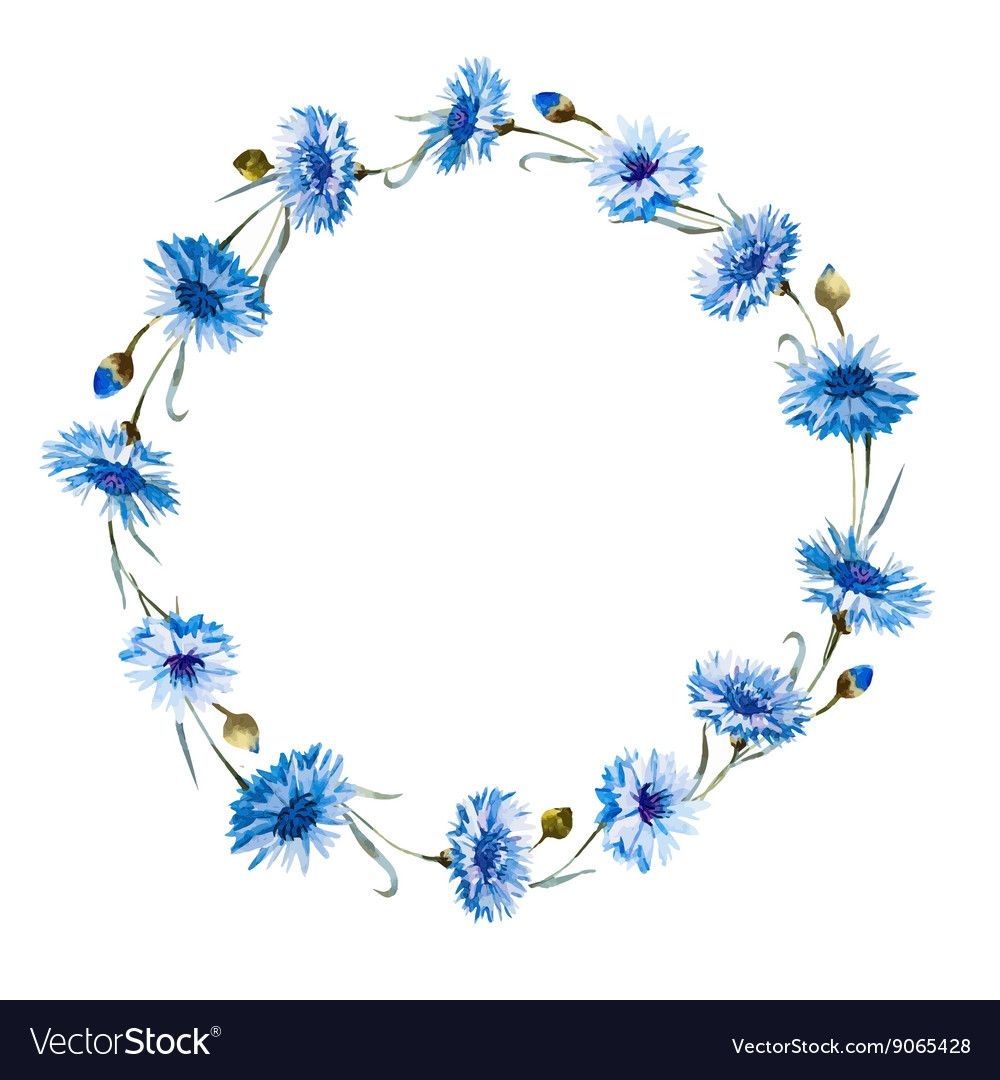 Стилизованные цветы Василек