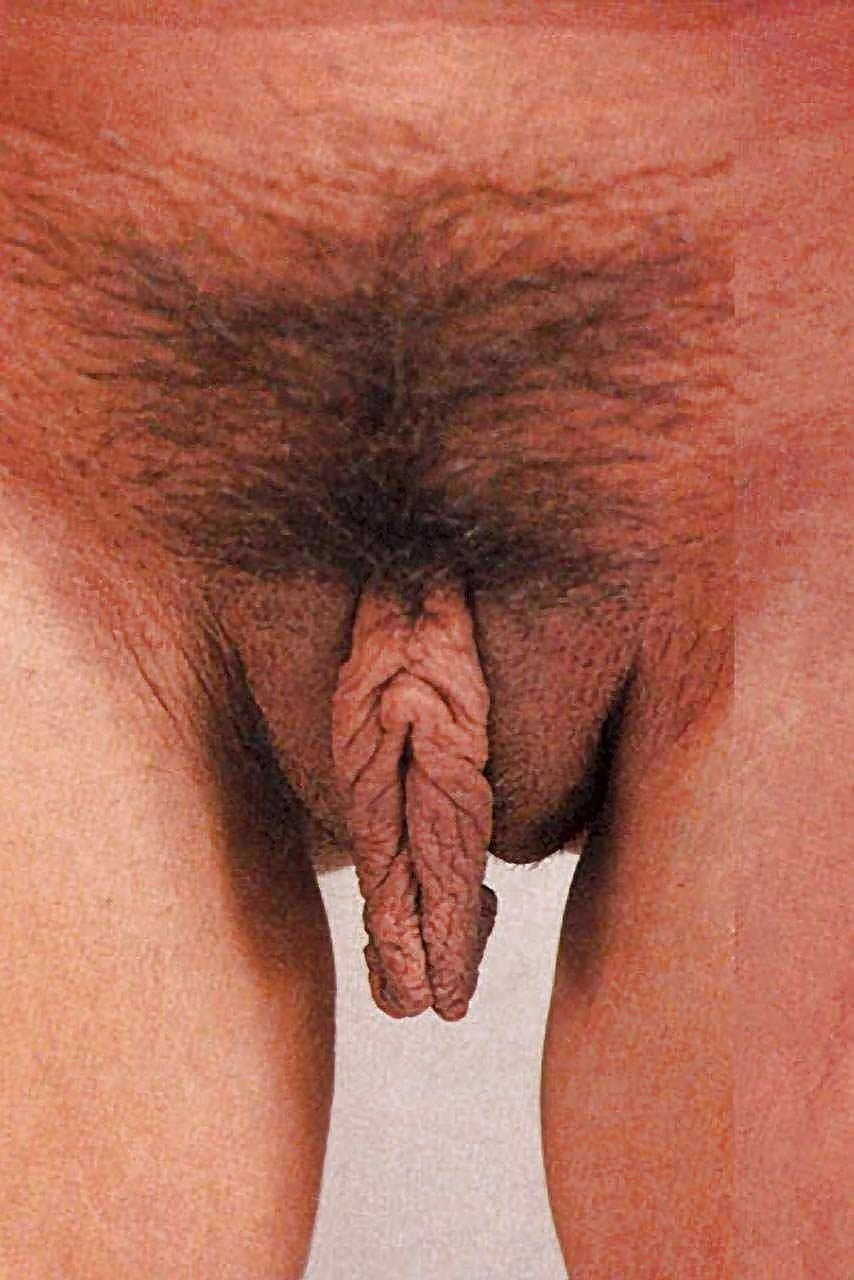 Женский половой орган