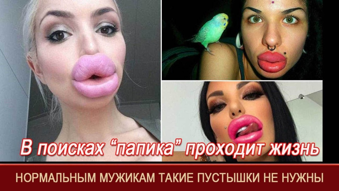Цитаты про ремонт