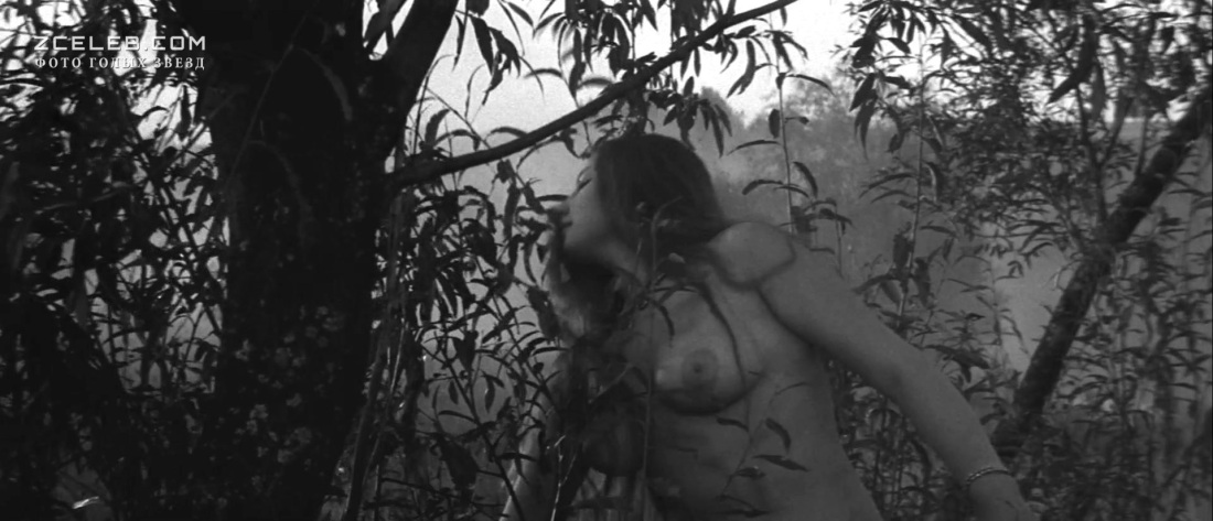 Андрейченко Сибириада ню