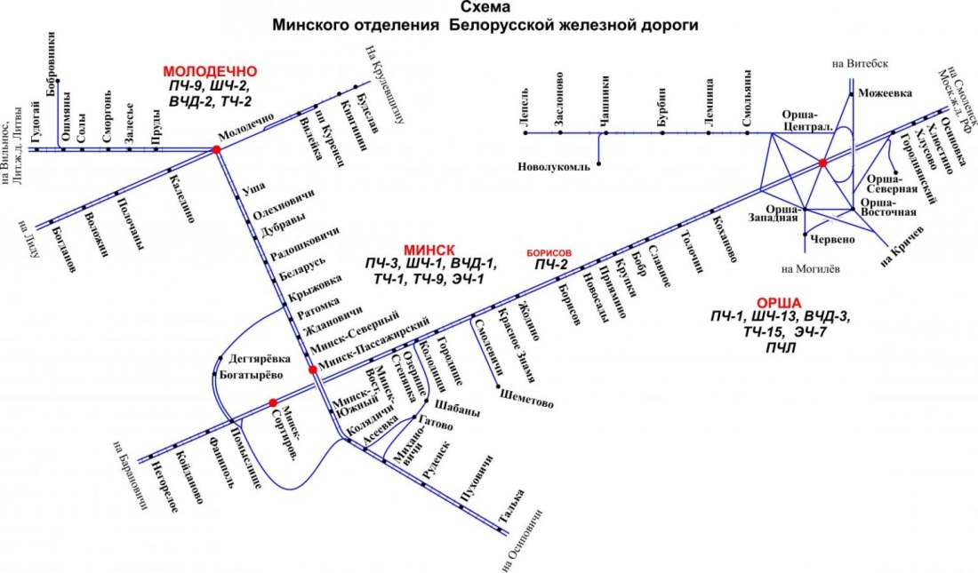 Арина Белоусова Ростов