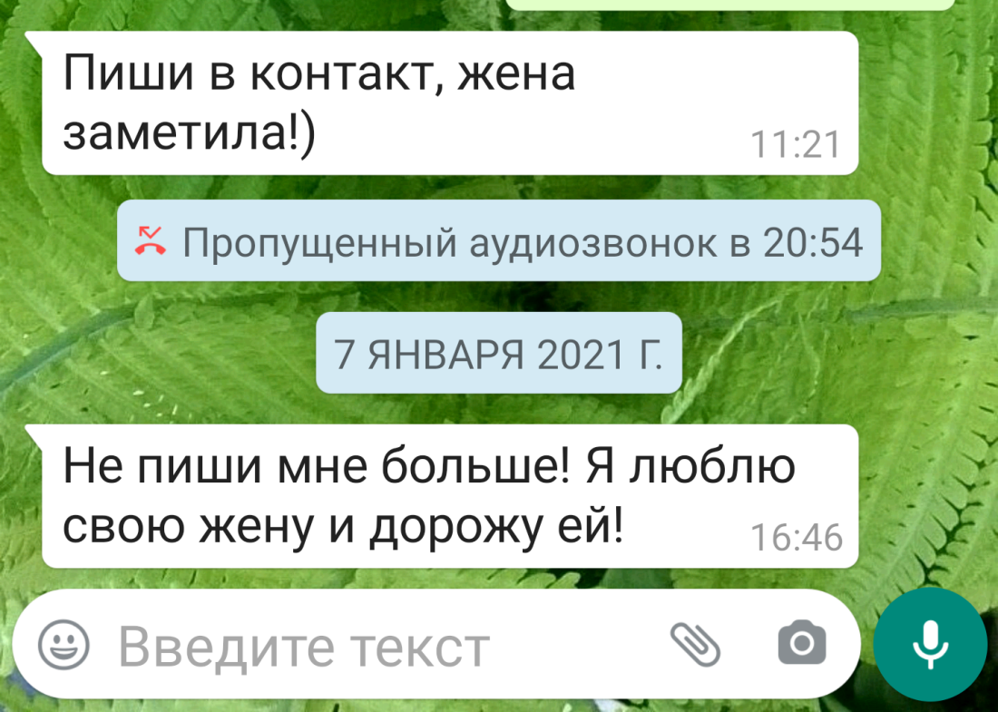 Спалила парня на переписке