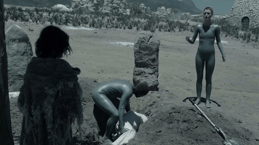 Аманда Коллинз +18