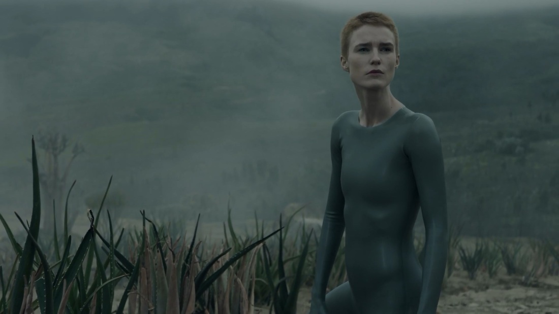 Аманда Коллинз Никита