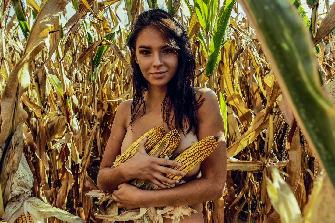 Кукурузный початок в заднице