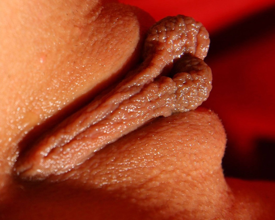 Девушки с красивыми половыми губами