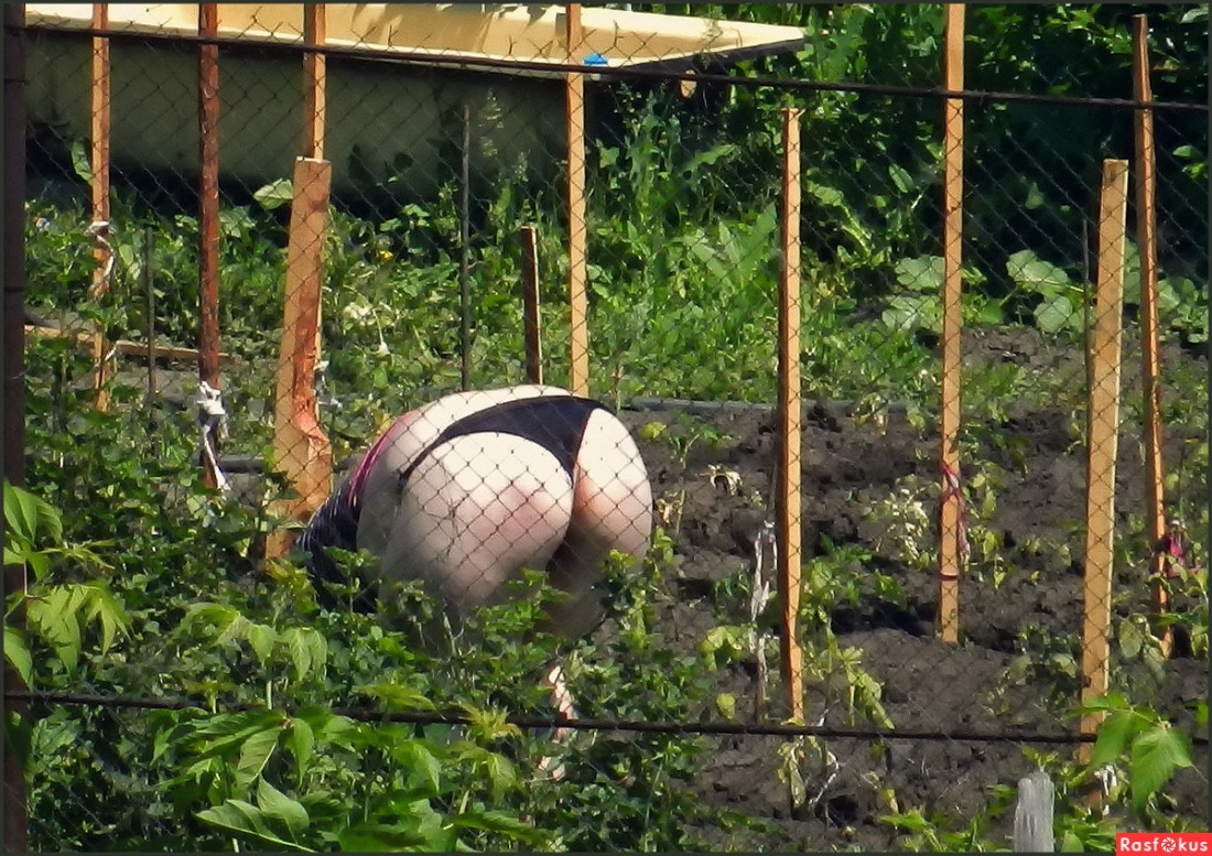 Грядки прикол