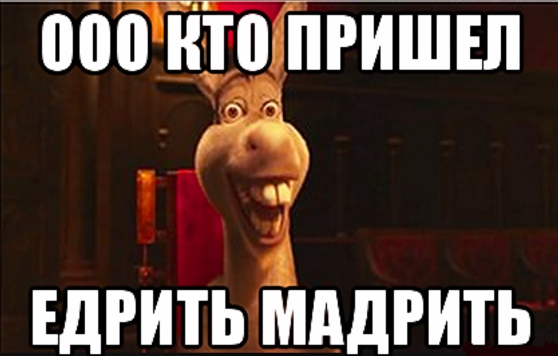 Просыпайся картинки прикольные