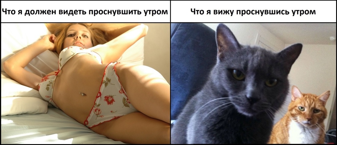Пельмень у девушки
