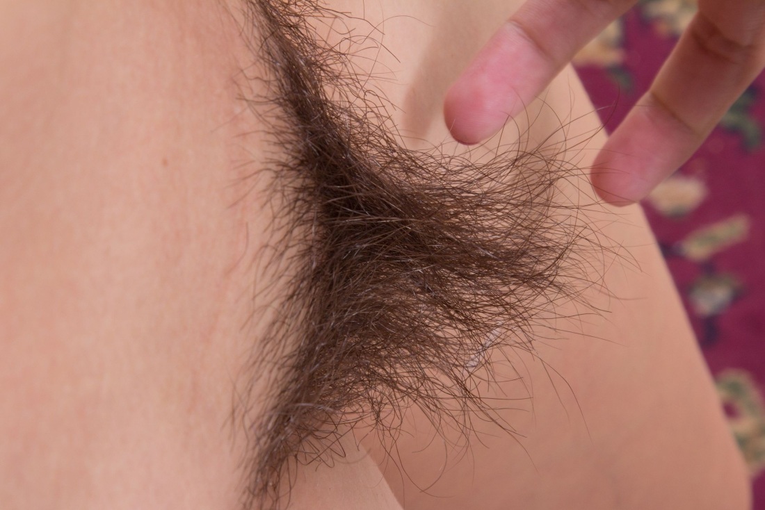 Светлые волосики на лобке