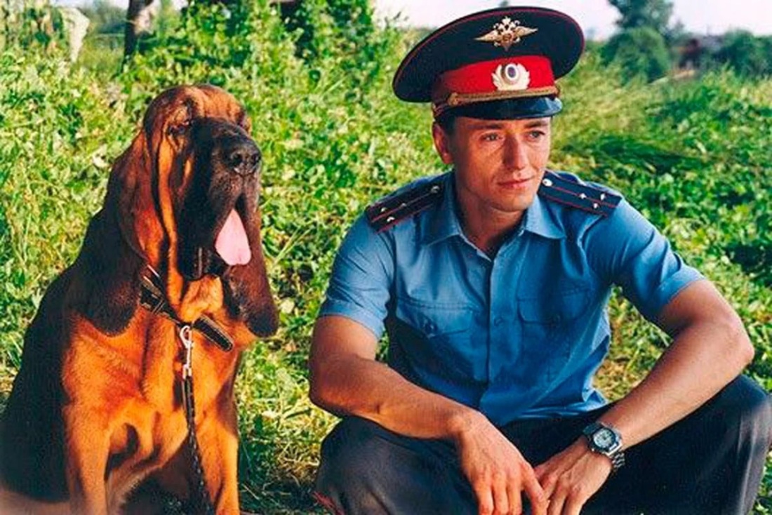 Голые телки и мужики песня