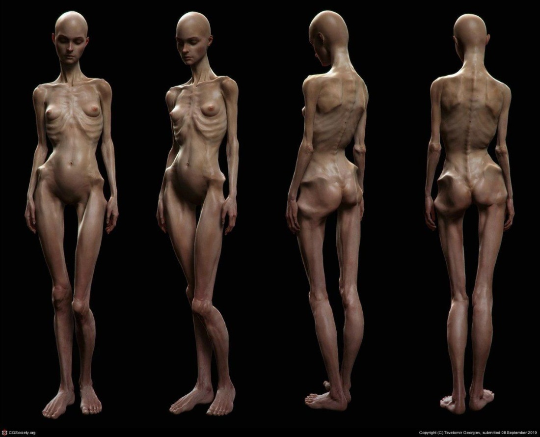 Модель женского тела