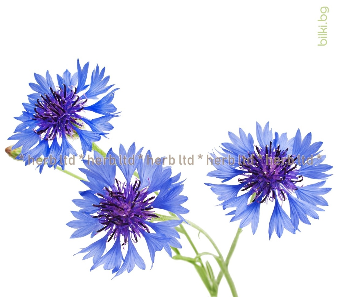 Рисунок васильки по ткани