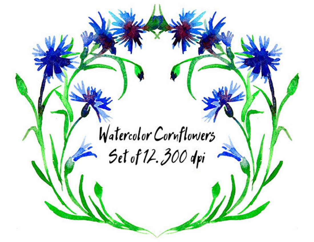 Раскраска полевые цветы на лугу