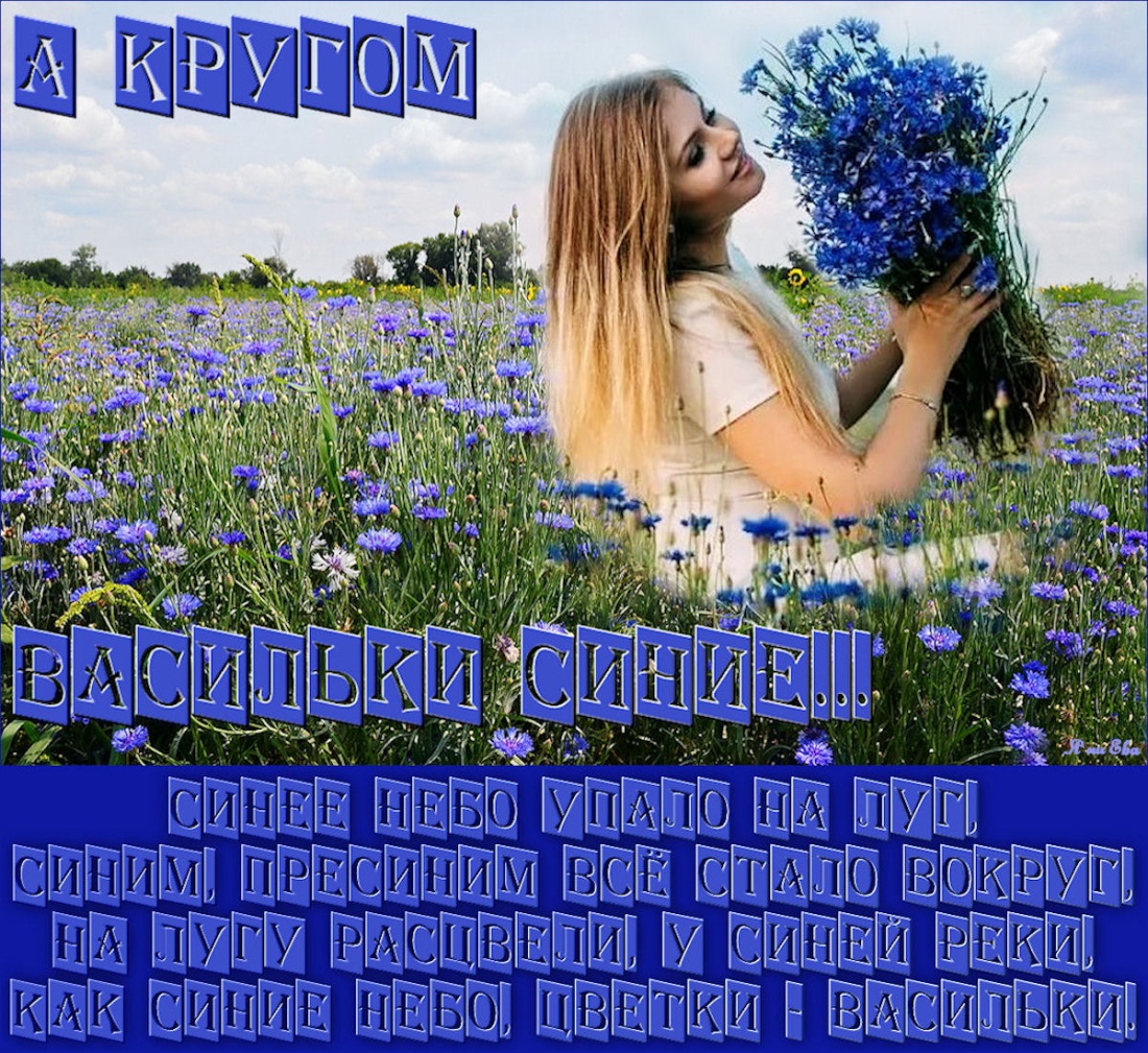 Акварель колосок Василек