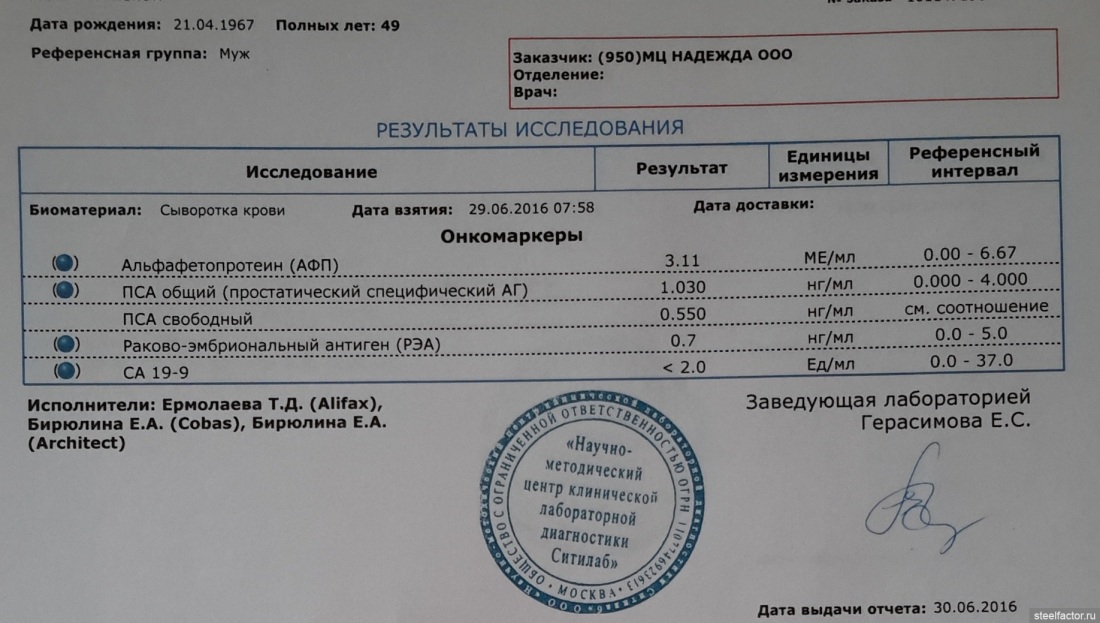 Медицинская справка