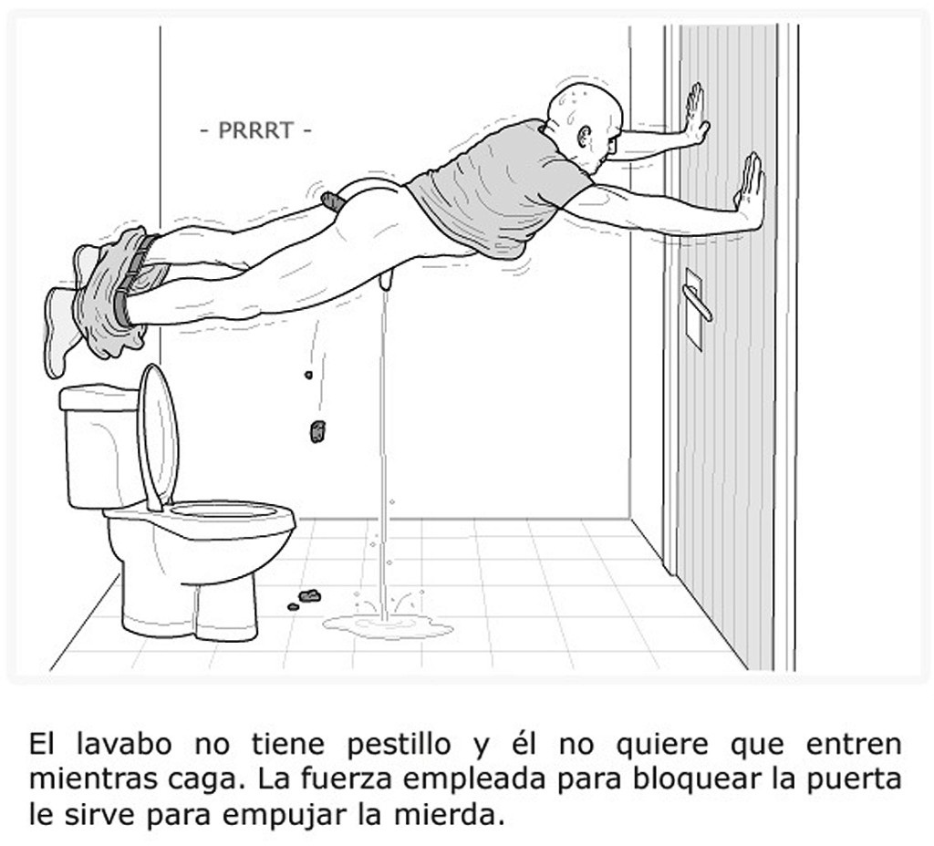 Собака нюхает