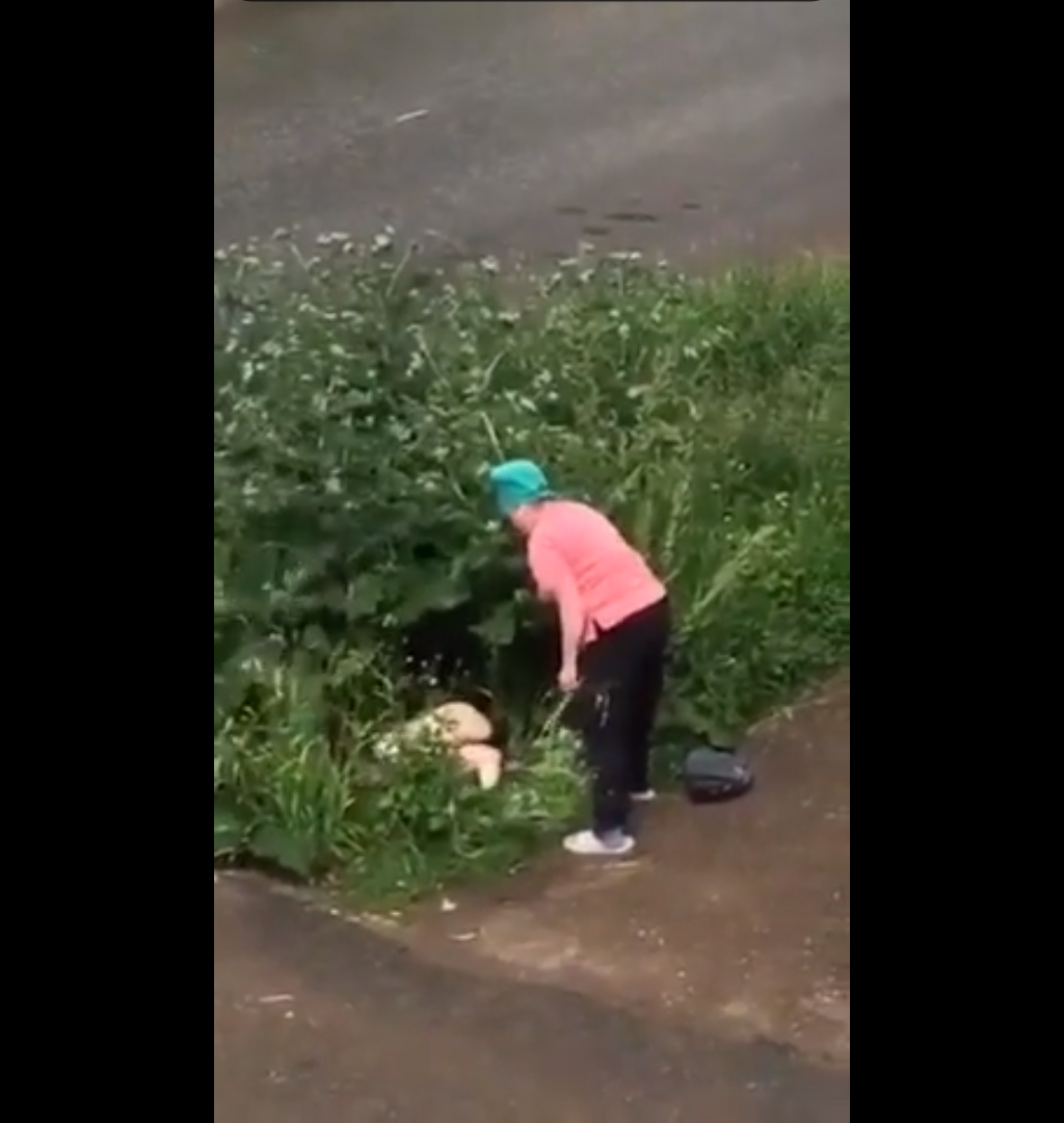 Присели в кустах