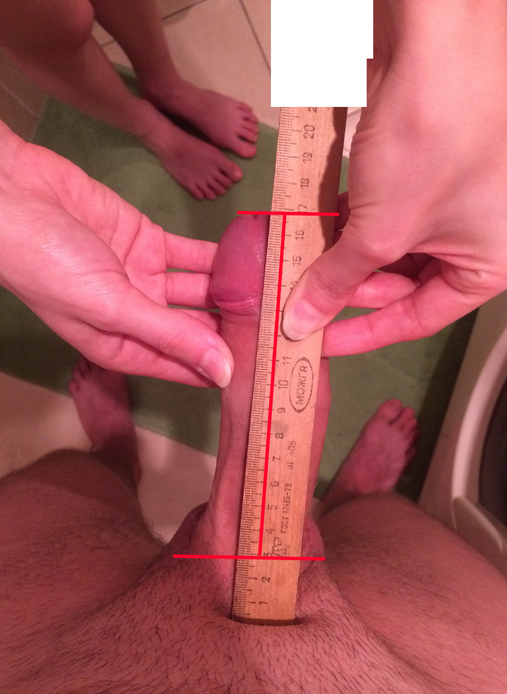 Член 20 сантиметров с линейкой