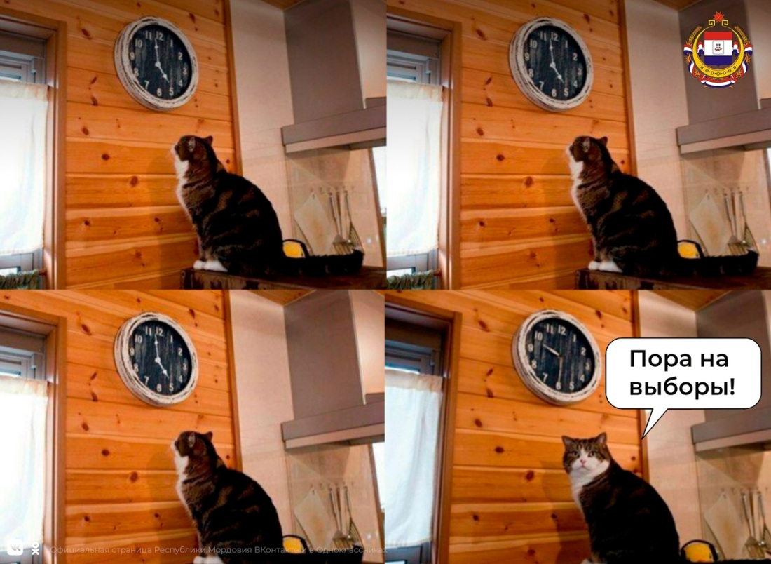 Девушки справляют нужду в подъезде