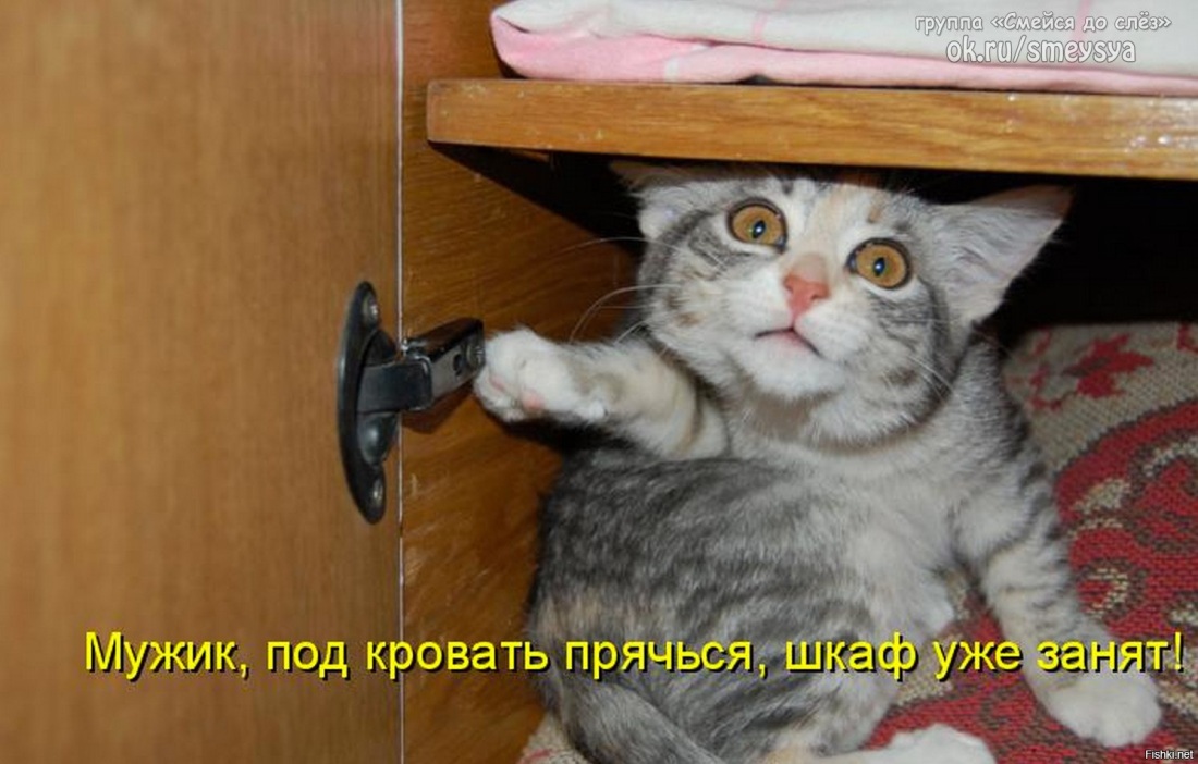 Смерть стучится в дверь