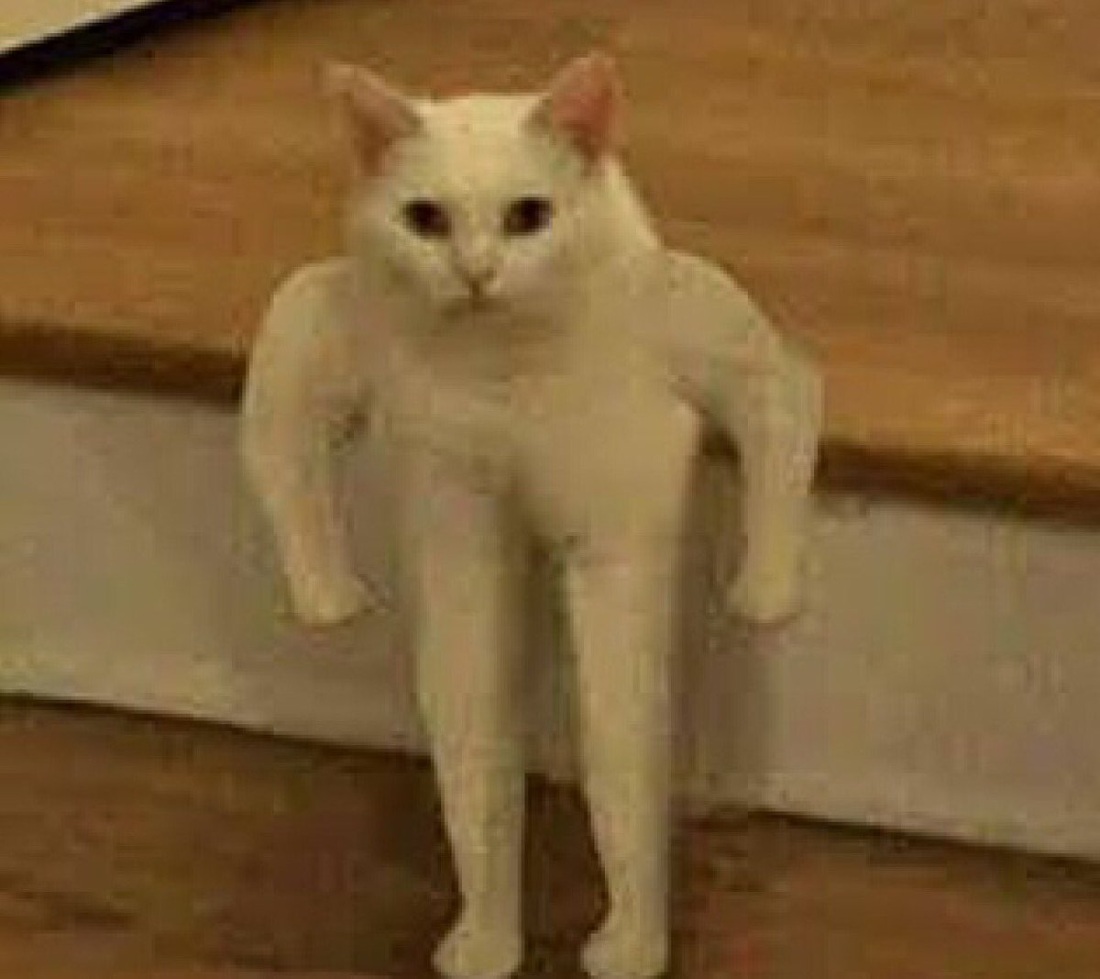 Марго Робби волк с Уолл-стрит