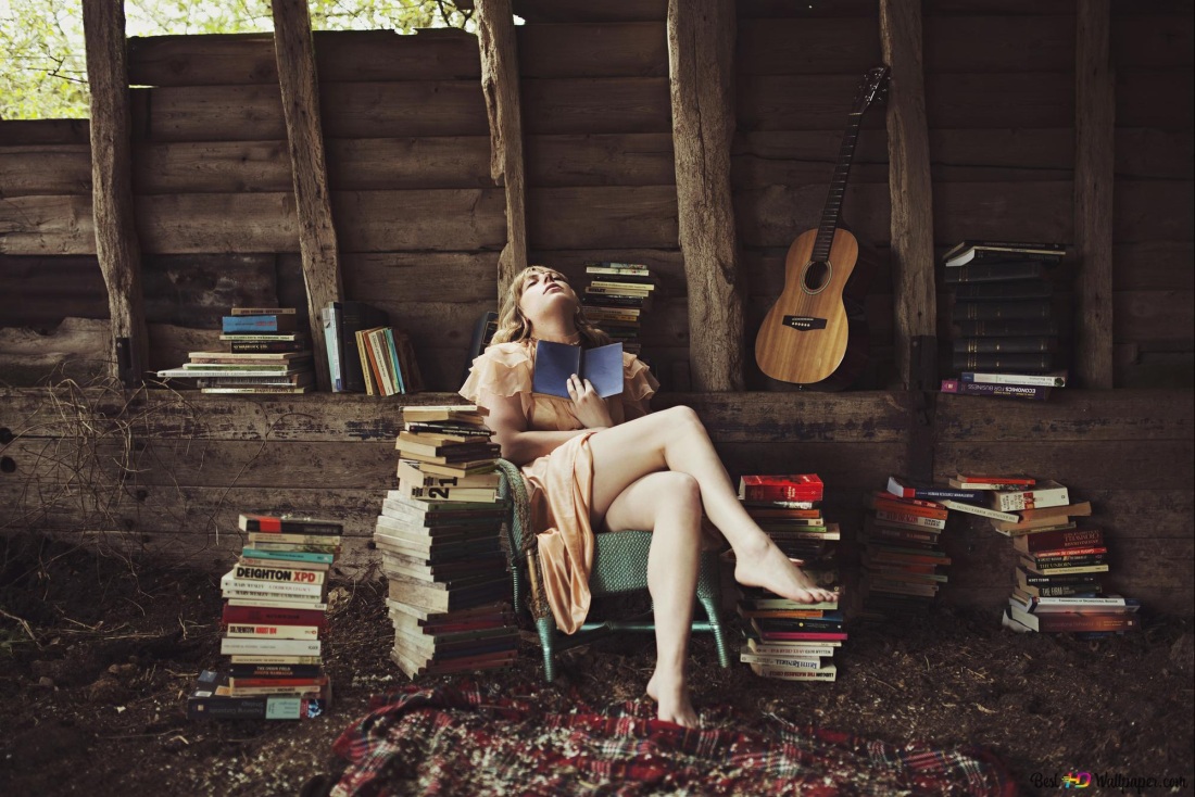 Библиотека иллюстрация